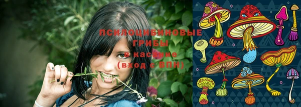 соль ск Зеленодольск